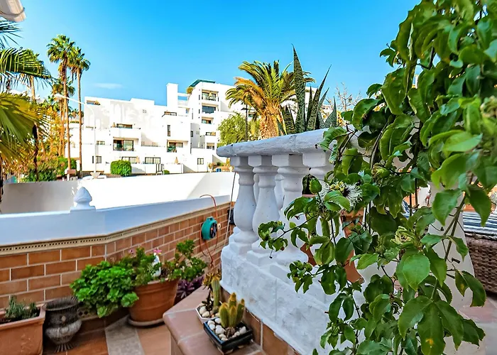 On Torviscas Costa Adeje (Tenerife)